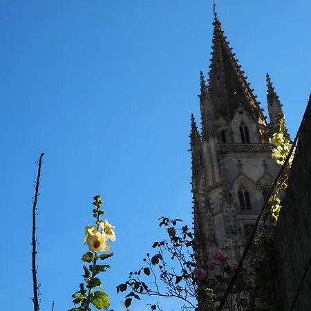 Bed & Breakfast La Belle Etoile