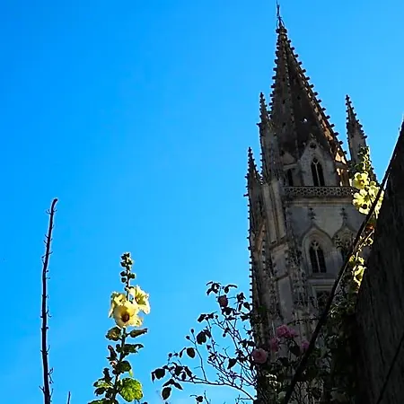 La Belle Etoile