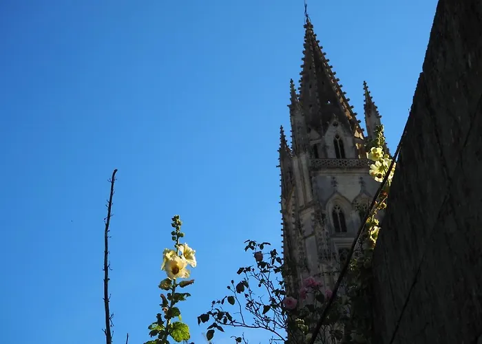 Bed & Breakfast La Belle Etoile