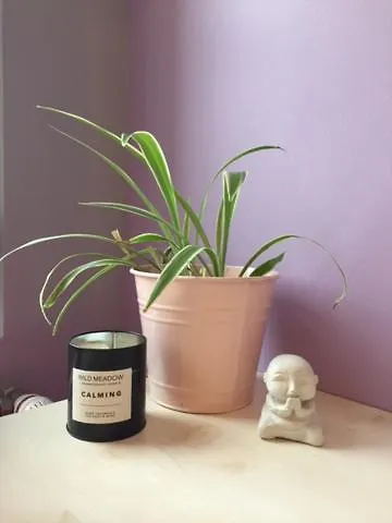 La Belle Etoile Bed & Breakfast Saintes